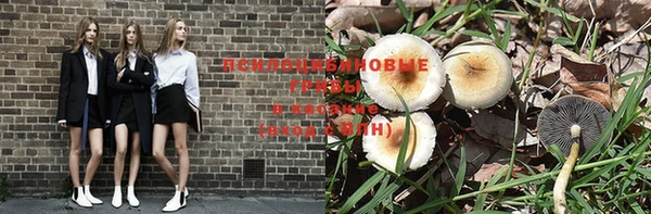 мескалин Ладушкин