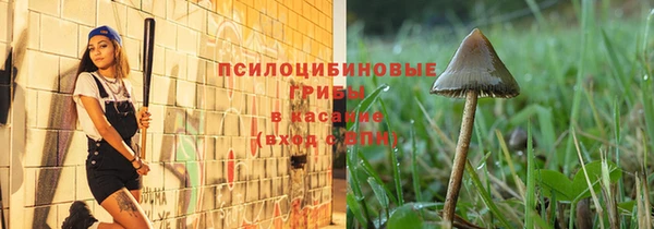 mdpv Лабытнанги