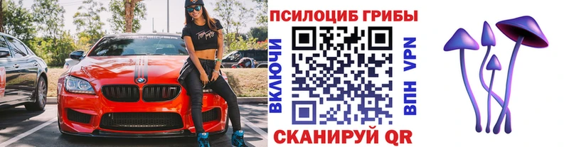 Купить  Новый Уренгой  Псилоцибиновые грибы Psilocybe 